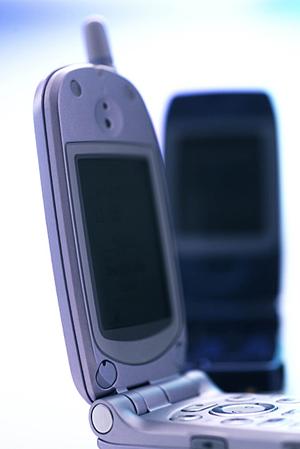 dacの種類が豊富な通販サイトです